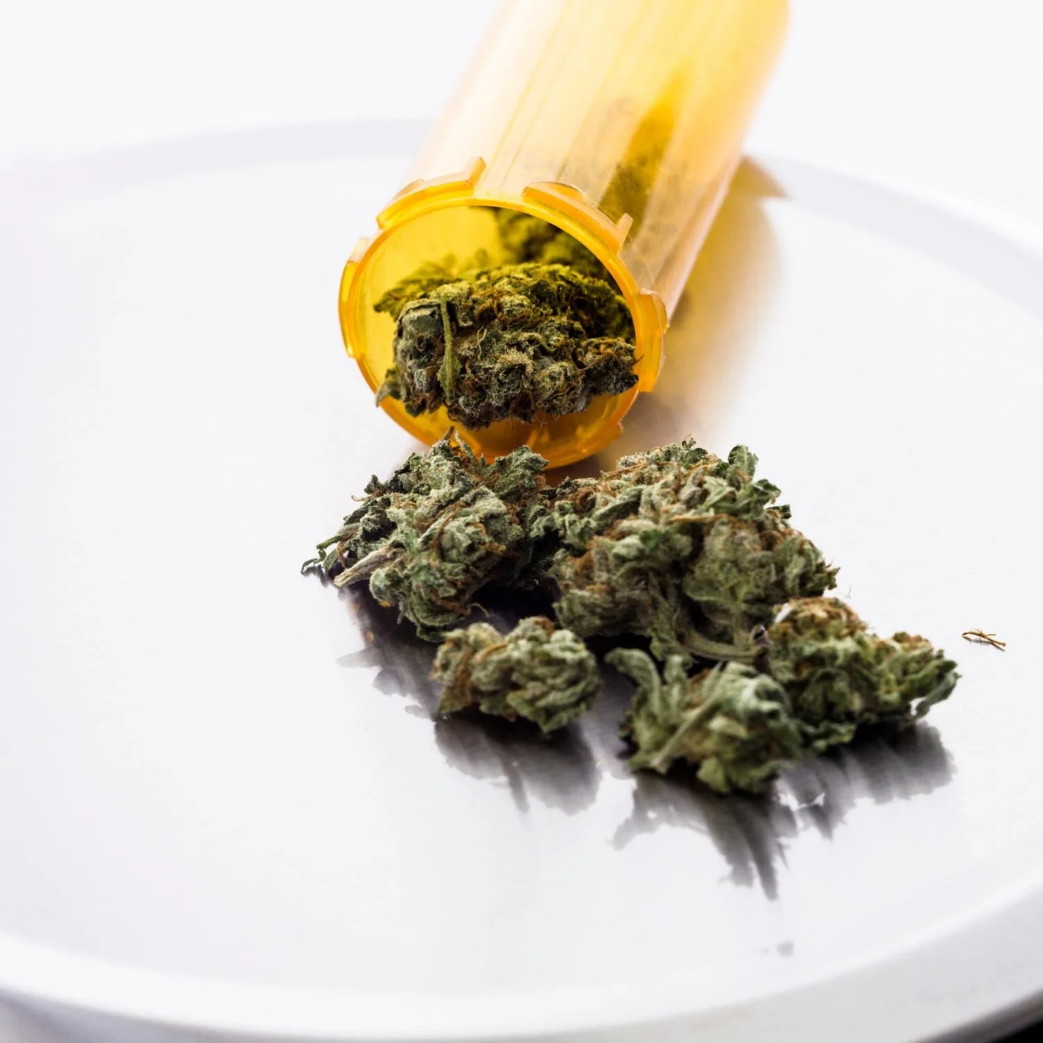 how to get mmj card in vermont