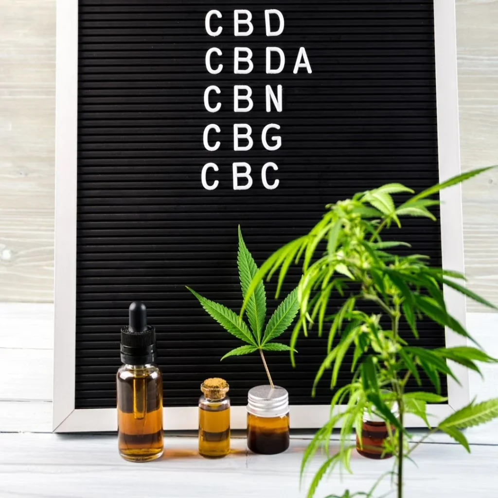 what are cannabinoids