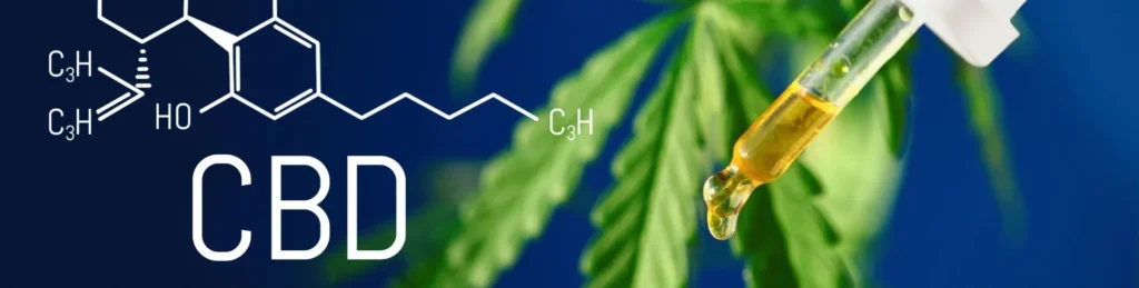 what are cannabinoids and what do they do