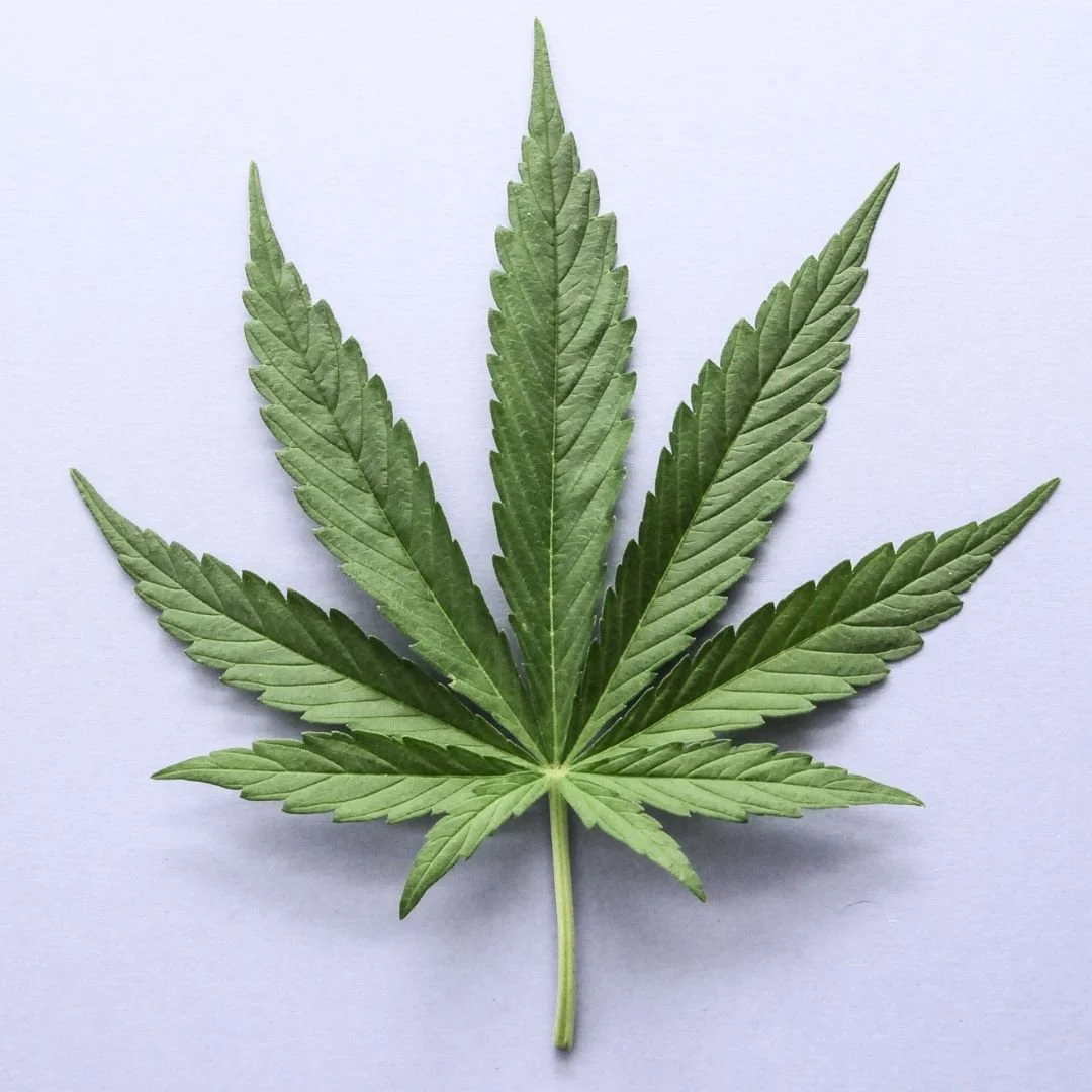 can cannabis help you sleep